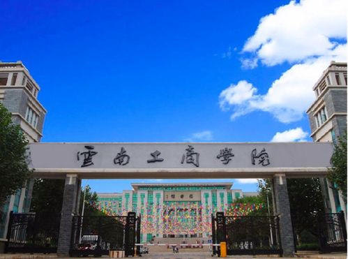 2020上半年营收6.41亿元,新高教集团扩大职业培训版图