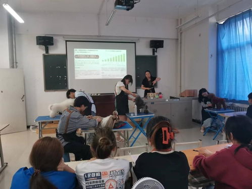 企业宣讲进校园 校企联动促就业 西安牵手精灵宠物美容护理技术培训学校来农林科技学院进行企业宣讲