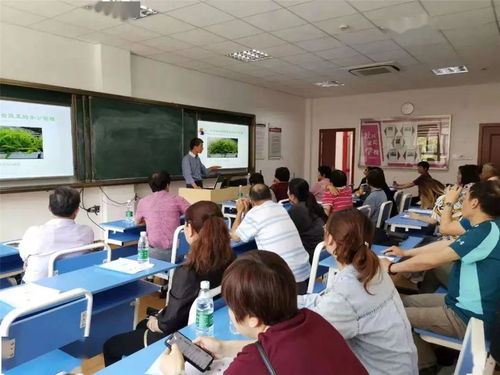 新虹5月 实况丨造花园 种点菜...方寸阳台藏着诗和远方